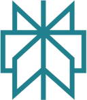 perplexity Icon
