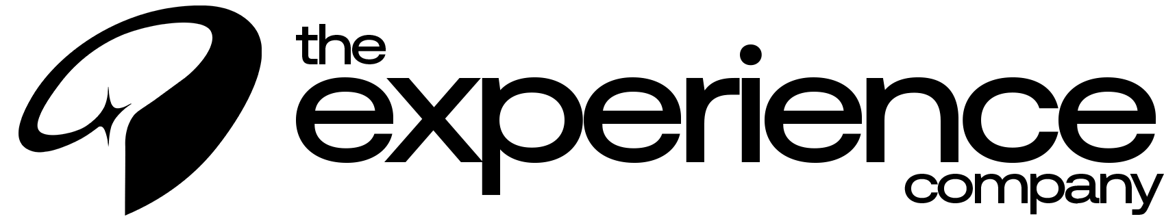 The Experience Company full wordmark in black