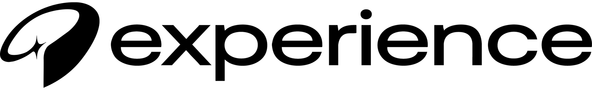 Experience wordmark in black