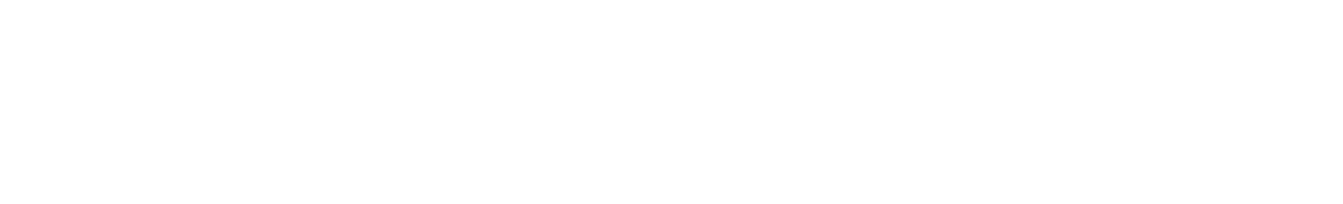 Experience wordmark in white
