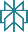 perplexity Icon